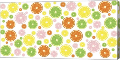 Framed Fruit Slices Print