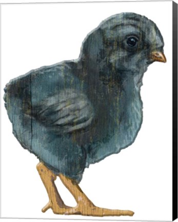 Framed Chick Black wood Print