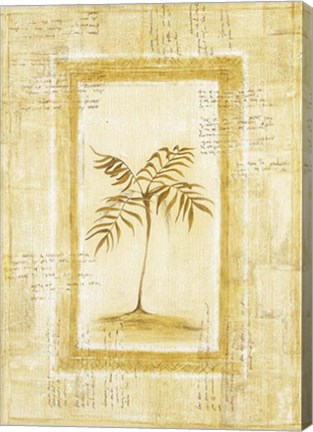 Framed Palm 1 Print