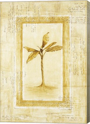 Framed Palm 2 Print