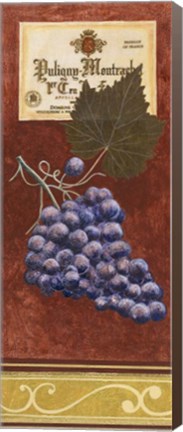 Framed Grapes 1 Print