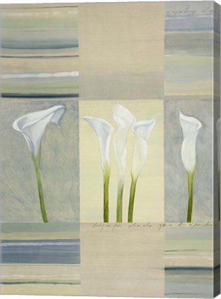 Framed Calla Lily Dance II Print
