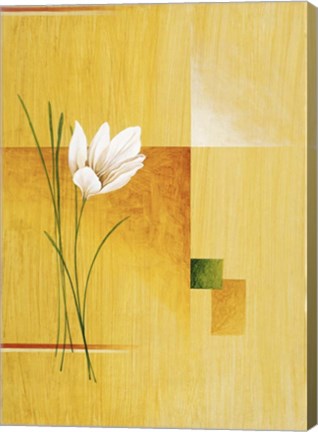 Framed White Bloom 2 Print