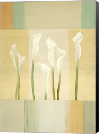 Framed Calla Lily Dance I Print