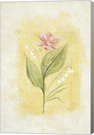 Framed Pink Bloom 2 Print