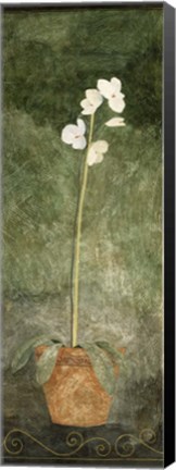 Framed White Potted Flower Print
