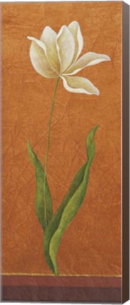 Framed Contemporary White Floral II Print