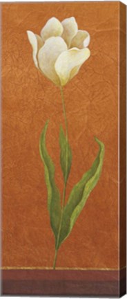 Framed Contemporary White Floral I Print