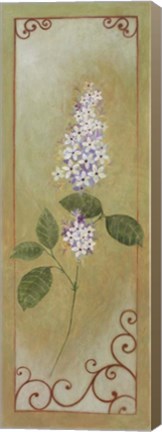 Framed Jasmine I Print