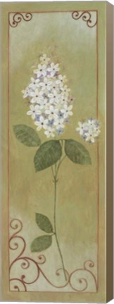 Framed Jasmine II Print