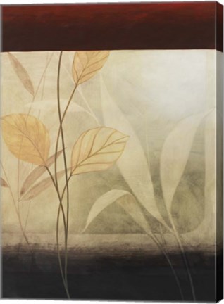 Framed Leaf Collage II Print