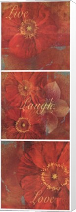 Framed Poppy Thoughts Print