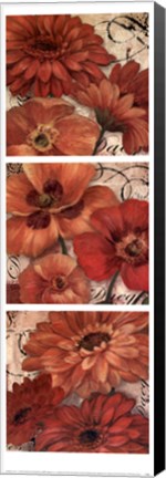 Framed Memento Trio Print