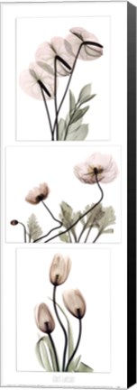 Framed Flowering Triptych Print
