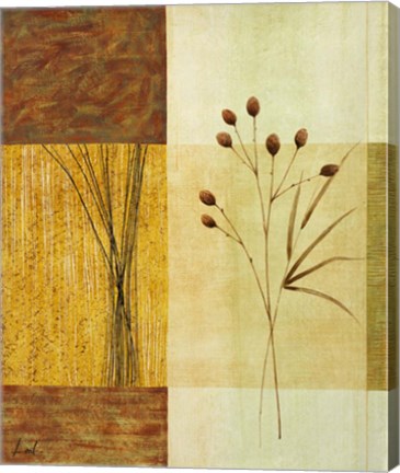 Framed Wheat II Print