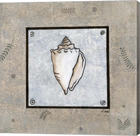 Framed Sea Shell on Blue II Print