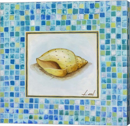 Framed Conch Print