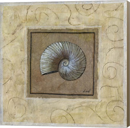 Framed Sea Shell II Print