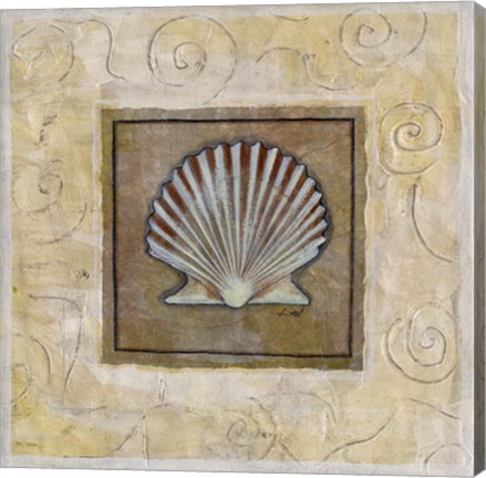Framed Sea Shell I Print