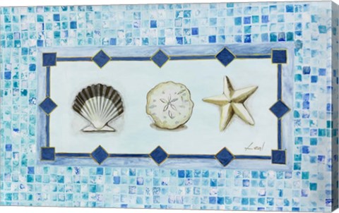 Framed Sea Shell Trio Print