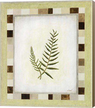 Framed Fern II Print