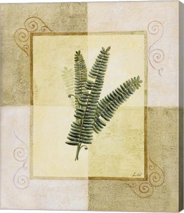 Framed Ferns I Print