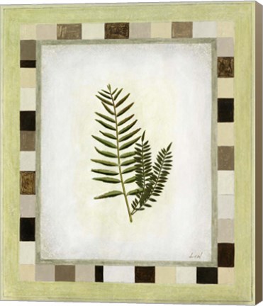 Framed Fern I Print