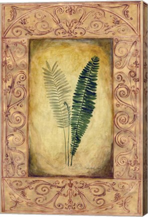 Framed Decorative Ferns II Print