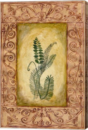Framed Decorative Ferns I Print