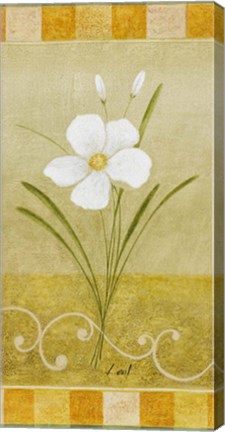 Framed Delicate White II Print