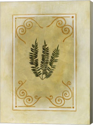 Framed Fern Delight I Print