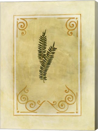 Framed Fern Delight II Print