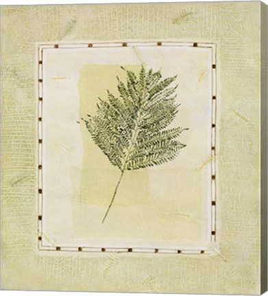 Framed Green Splendor I Print