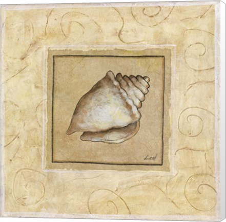 Framed Conch Shell Print