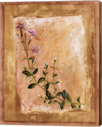 Framed Botanical I Print
