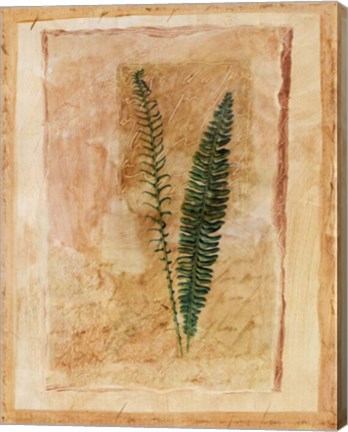 Framed Botanical II Print