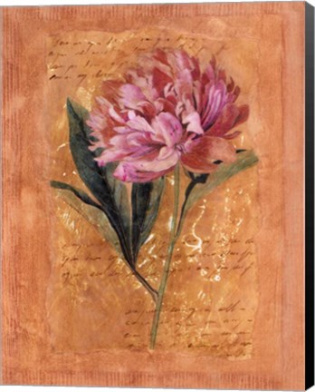 Framed Botanical III Print