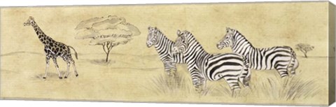 Framed Zebras and Giraffe Print