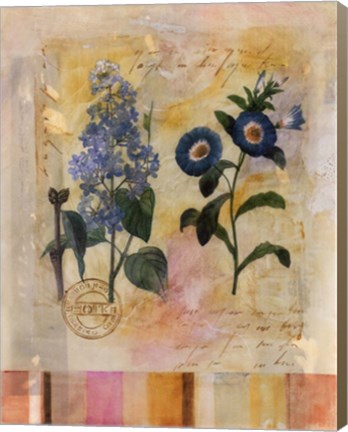 Framed Floral Postcard II Print
