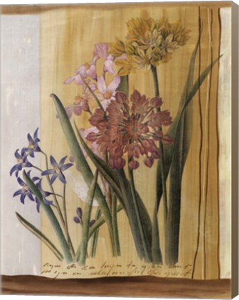 Framed Floral Postcard I Print