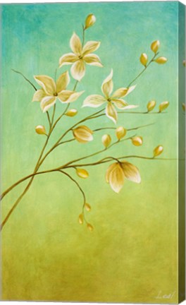 Framed Jasmine Delight Print