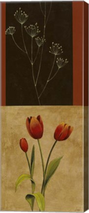 Framed Botanical Panel I Print