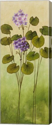 Framed Wild Flowers II Print