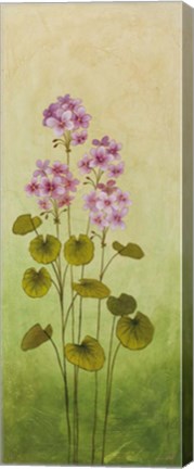 Framed Wild Flowers III Print
