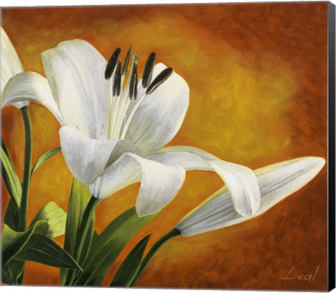 Framed Lily Bloom Print