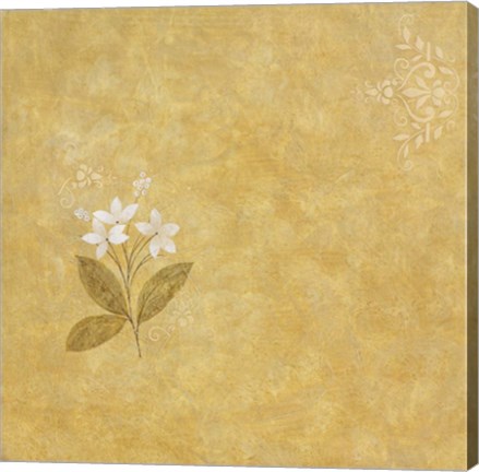 Framed White Flower on Gold Print