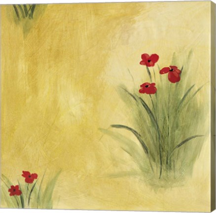 Framed Poppy Patch Print