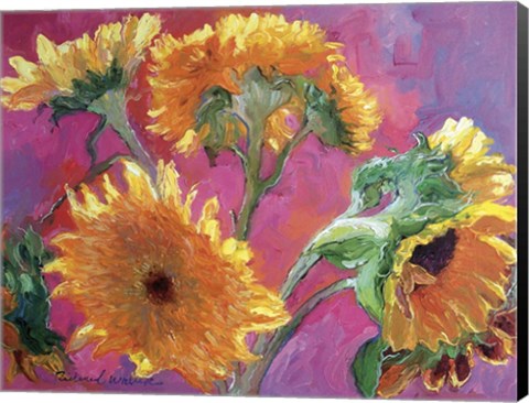 Framed Sunflower Print