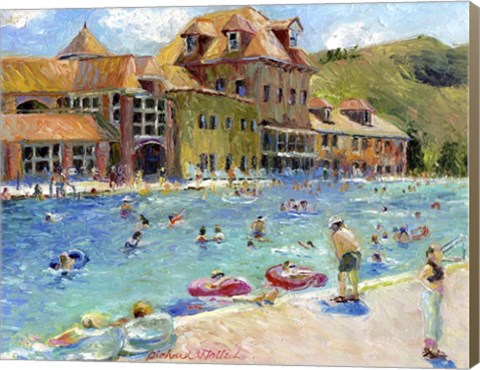 Framed Glenwood Springs Print