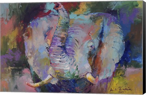 Framed Elephant Print